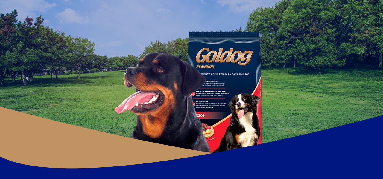 Goldog Premium Adulto Carne e Ossinhos